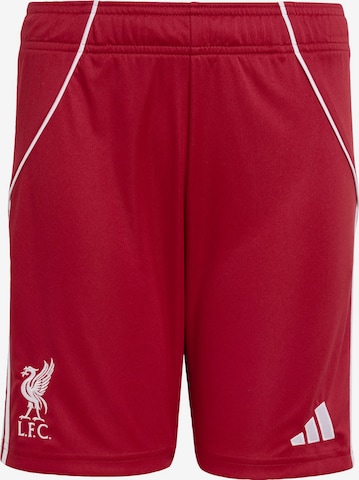 ADIDAS PERFORMANCE Regular Urheiluhousut 'FC Liverpool FC 25/26' värissä punainen: etupuoli