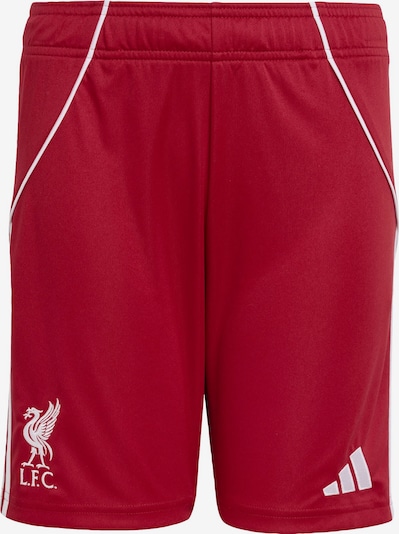 ADIDAS PERFORMANCE Urheiluhousut 'FC Liverpool FC 25/26' koossa 128/regular värissä punainen / valkoinen, Tuotenäkymä