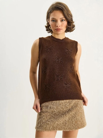 Pull-over Bianco Lucci en marron