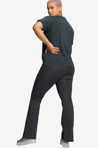 Regular Pantalon Studio Untold en noir