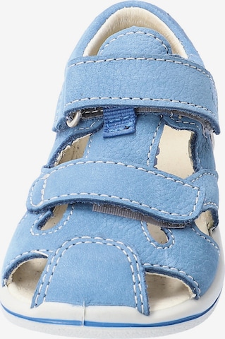 Pepino Sandals & Slippers 'Kaspi' in Blue