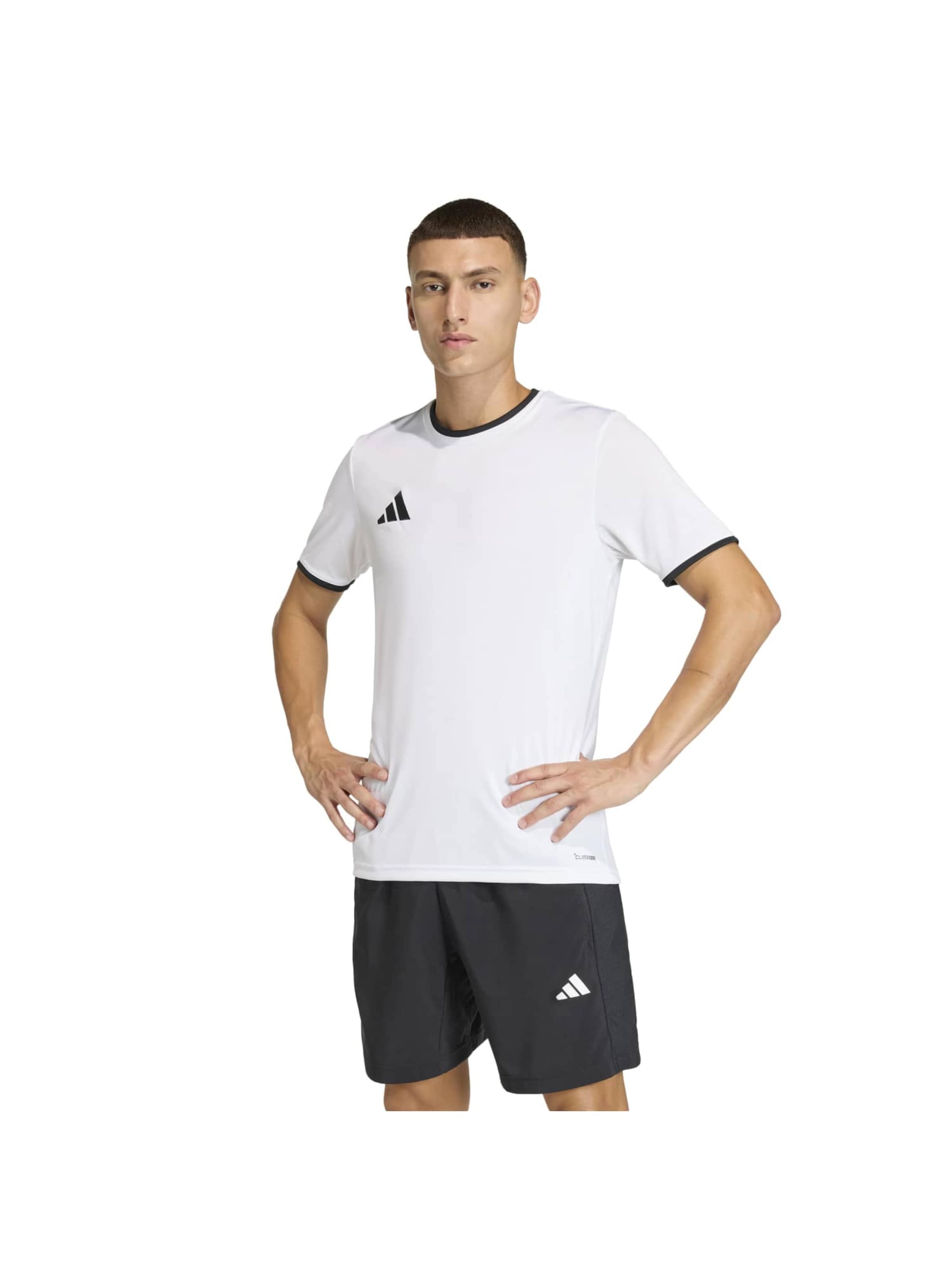 ADIDAS PERFORMANCE Performance shirt 'ENT26' in White: front