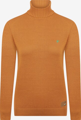 DENIM CULTURE Sweater 'ESTELLE' in Orange: front