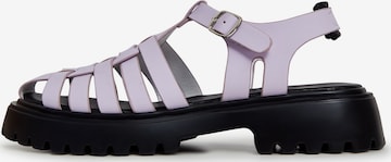 CESARE GASPARI Strap Sandals in Purple: front