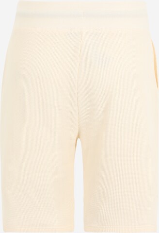 TOMMY HILFIGER Regular Shorts in Beige