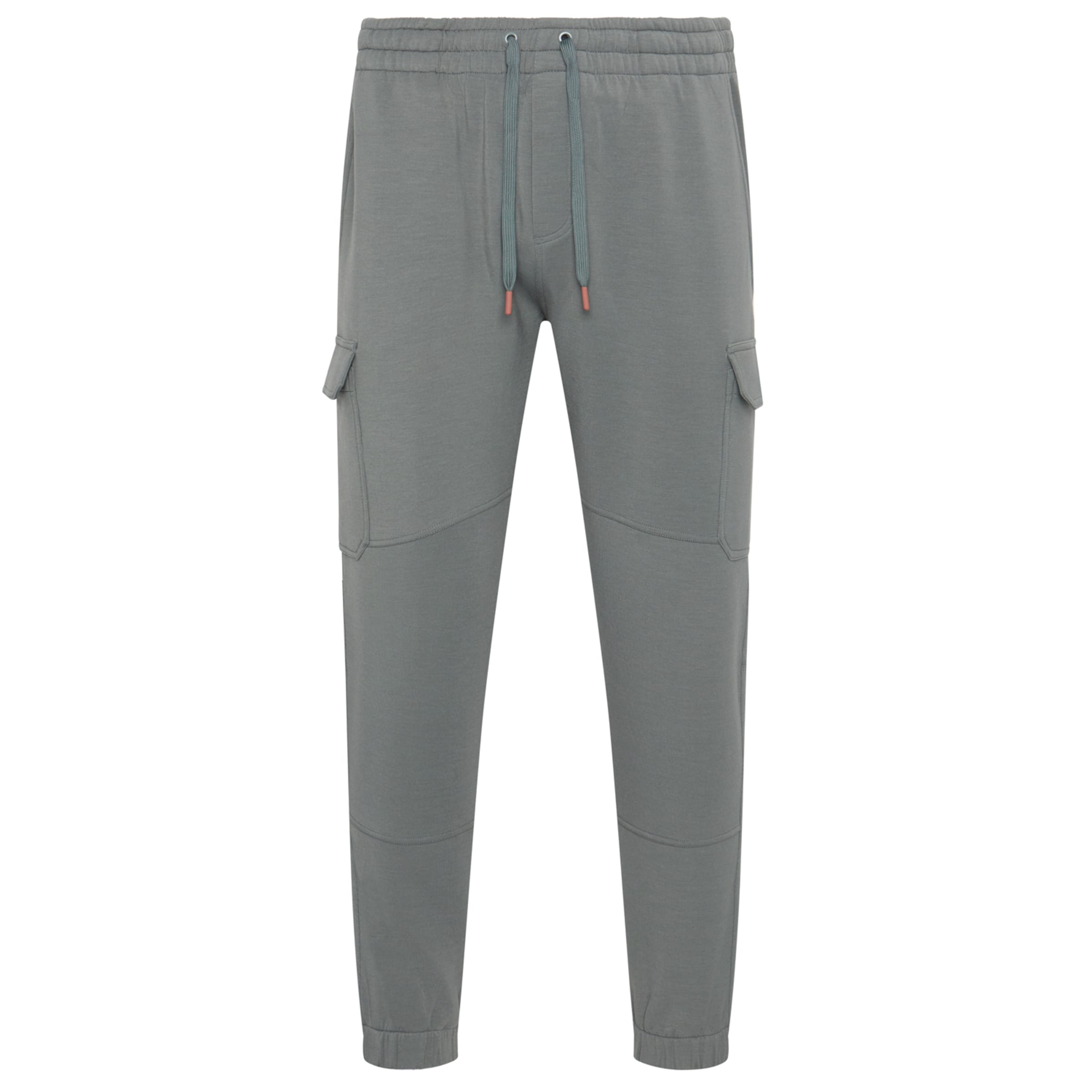 Born Tapered Sports trousers 'Grau' in Green: front