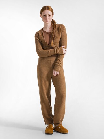 DEHA Sweater in Brown