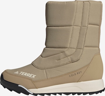 adidas Terrex Boots in Beige: front