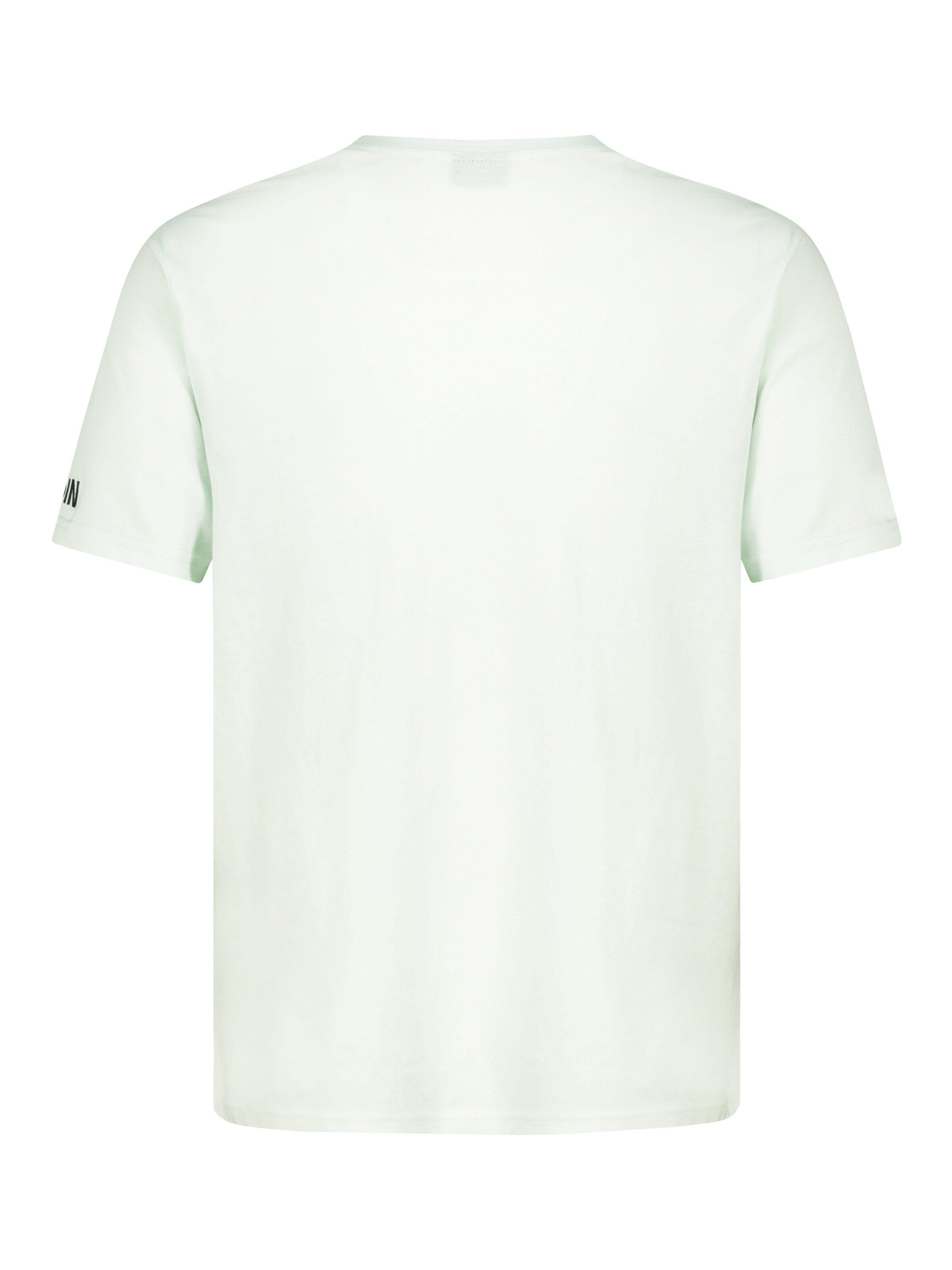 Eight2Nine Shirt 'Moin' in Green