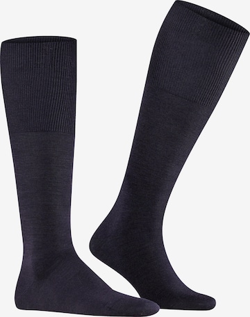 FALKE Knee High Socks 'Airport' in Blue: front
