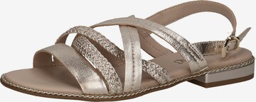 CAPRICE Strap Sandals in Gold: front