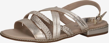 CAPRICE Strap Sandals in Gold: front