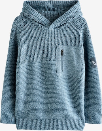 mėlyna Next Megztinis: priekis