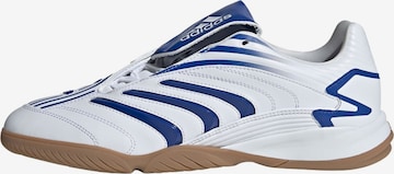 Baskets basses 'Predator Sala' ADIDAS ORIGINALS en blanc : devant