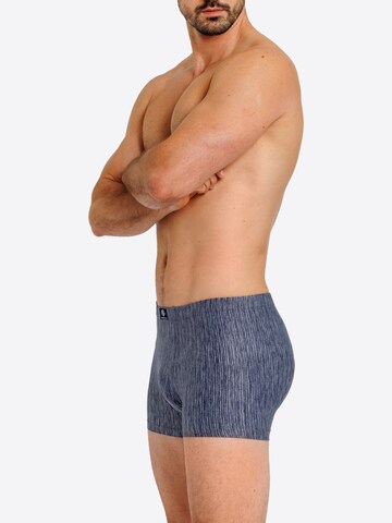 Haasis Bodywear Boxer shorts in Black