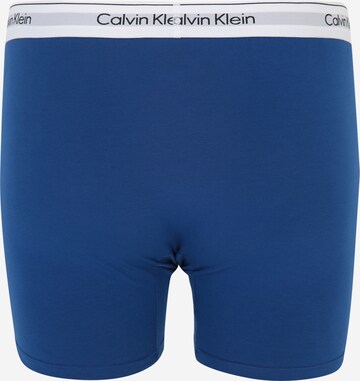 Boxer di Calvin Klein Underwear Plus in blu