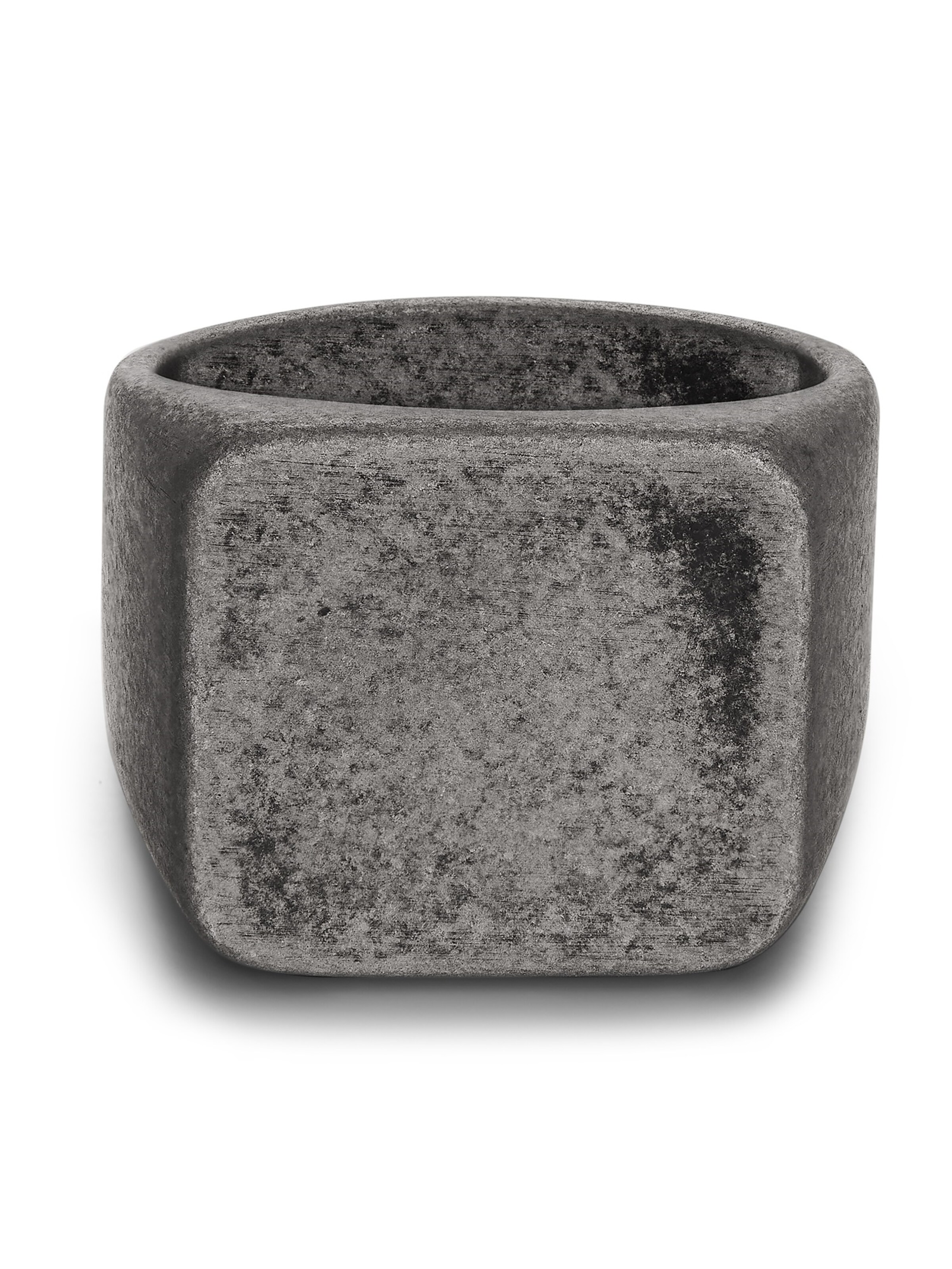 True Rebels Ring i sort: forside