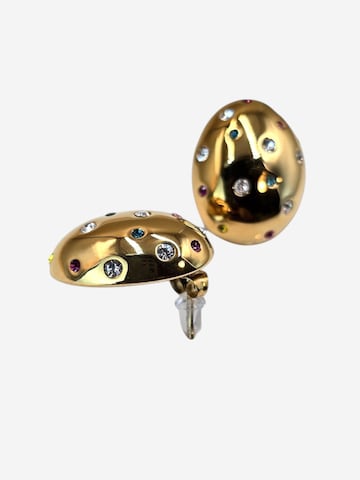 Lakris Jewelry Øreringe 'CELIA' i blandingsfarvet