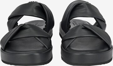 Crickit Strap Sandals ' JANEKE ' in Black