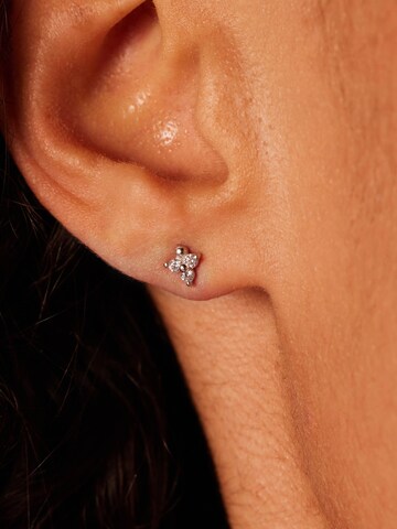 Lucardi Earrings in Silver: front
