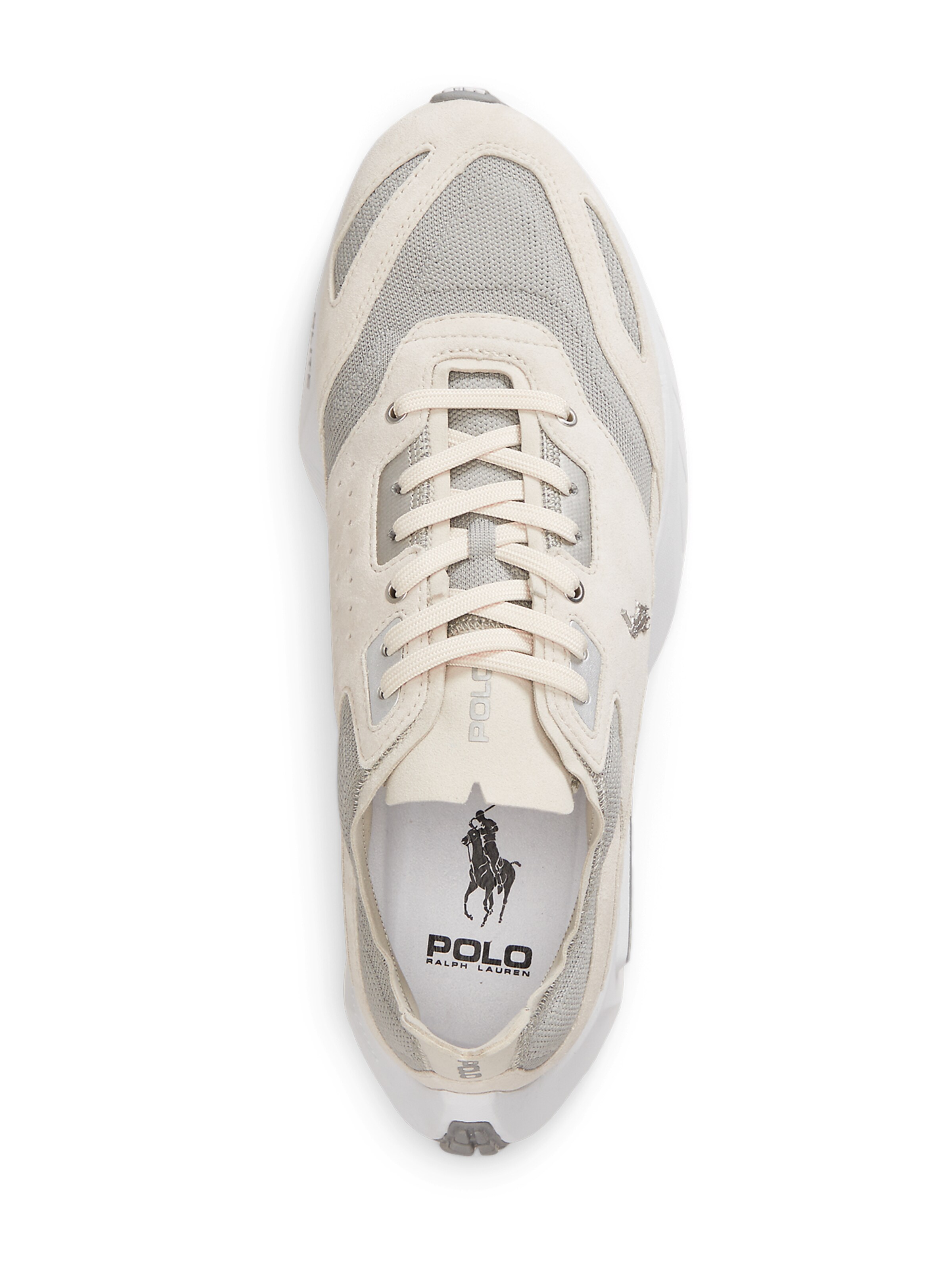 Baskets basses 'BOERUM' Polo Ralph Lauren en gris