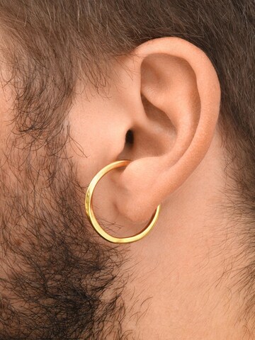 YParis Oorbellen 'Ear cuff Kylar G/S' in Goud