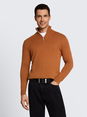 TOM TAILOR Pullover in Braun: Vorderseite