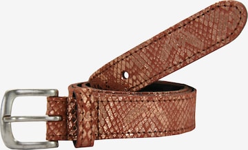 Petrol Industries Belt in Brown: front