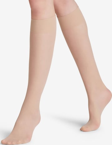 FALKE Overknee Strümpfe 'Matt Deluxe' in Beige: Vorderseite