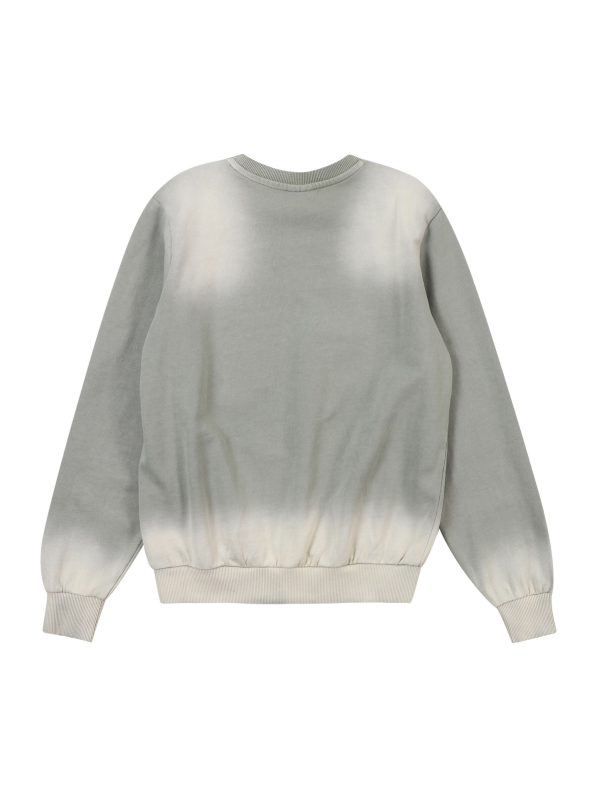 s.Oliver Sweatshirt in Groen