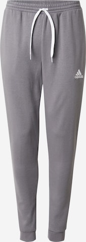 Tapered Pantaloni sportivi 'Entrada 22' di ADIDAS PERFORMANCE in grigio: frontale