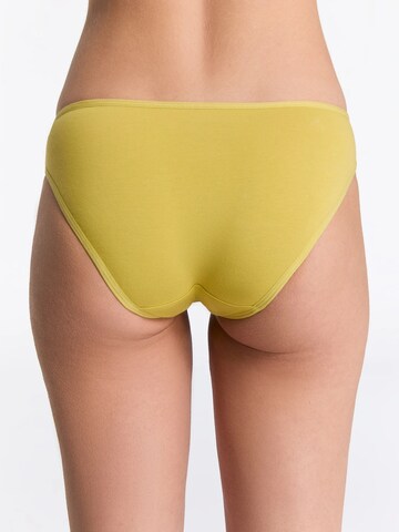 Albero Natur Panty in Green