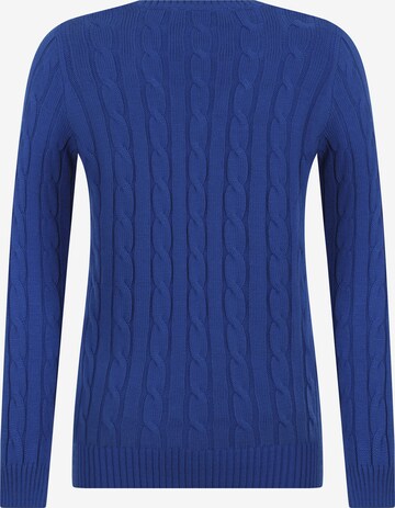 DENIM CULTURE Sweater 'Holly' in Blue