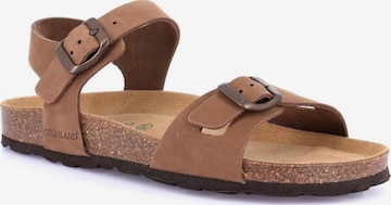 Sandales Grunland en marron : devant