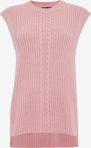 Threadbare Sweater 'Joey' in Pink: front