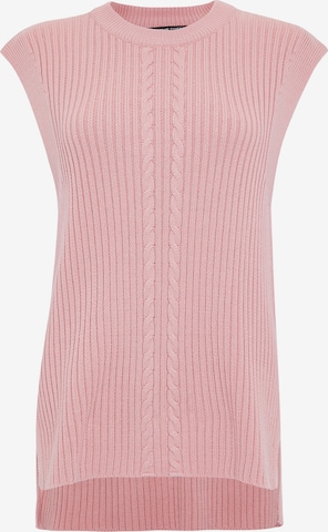 Threadbare Pullover 'Joey' in Pink: predná strana