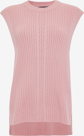 Threadbare Pullover 'Joey' in Pink: Vorderseite