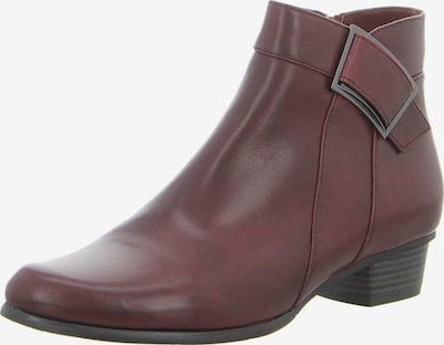 Regarde le Ciel Stiefelette in 37 in bordeaux, Produktansicht