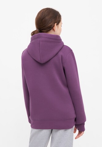 BENCH Sweatshirt in Lila