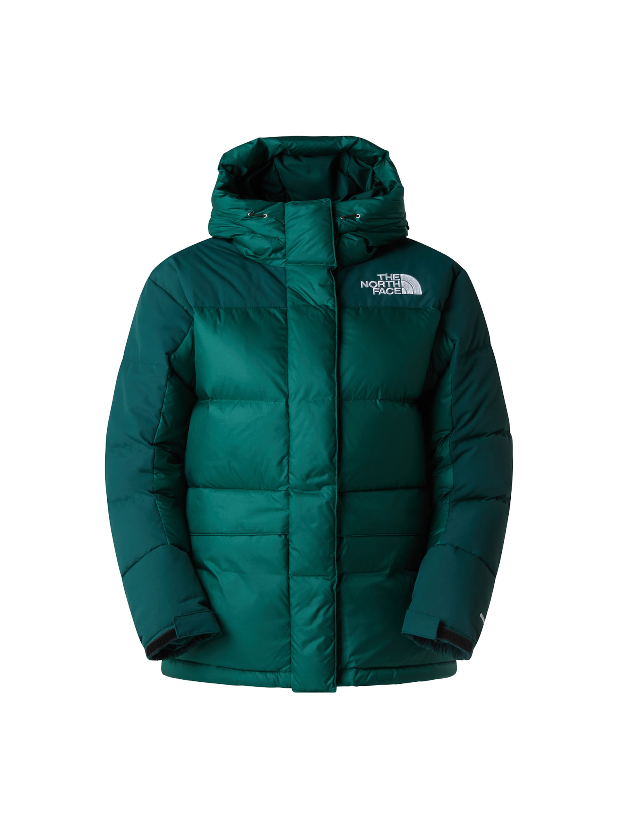zaļš THE NORTH FACE Āra jaka: no priekšpuses