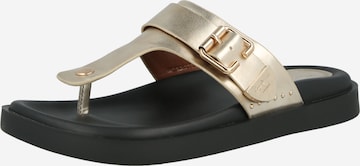 Pepe Jeans Varbavaheplätu 'SADE', värv Kuld: eest vaates