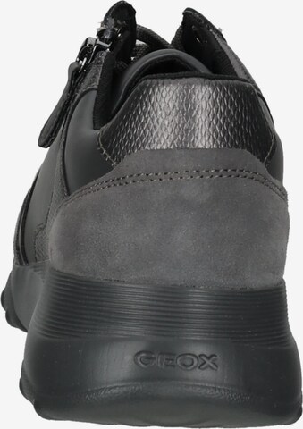 GEOX Sneakers laag in Grijs