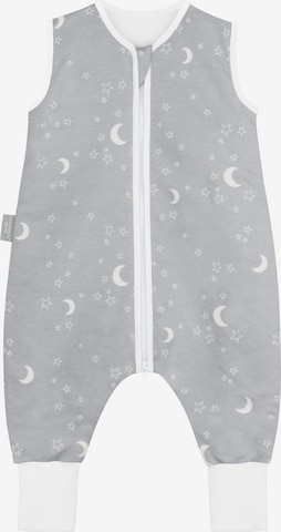 normani Sleeping Bag 'Nanao' in Grey: front