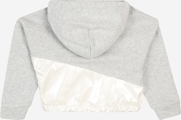 DKNY Sweatshirt in Grau