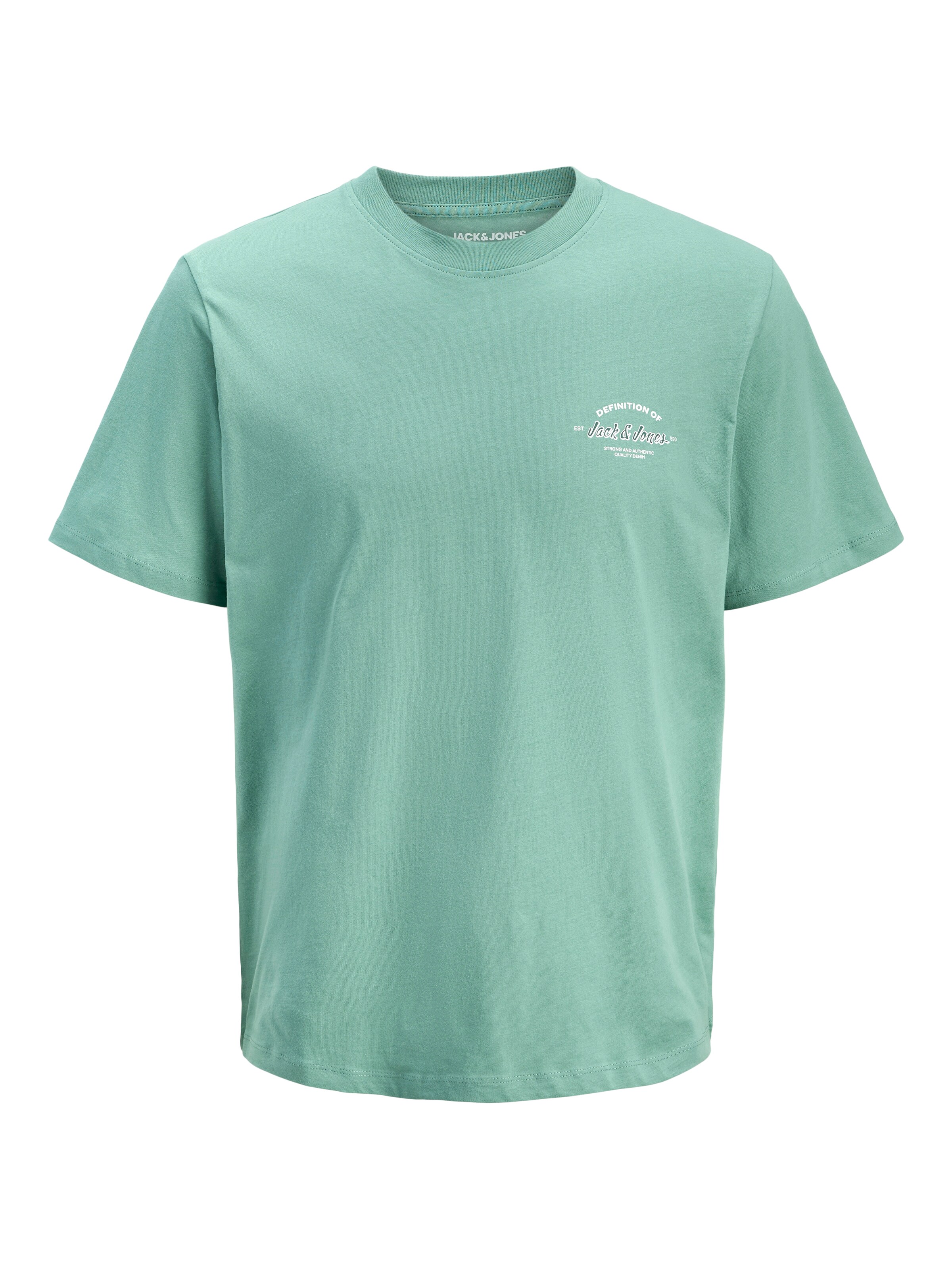 JACK & JONES Shirt in Green: front