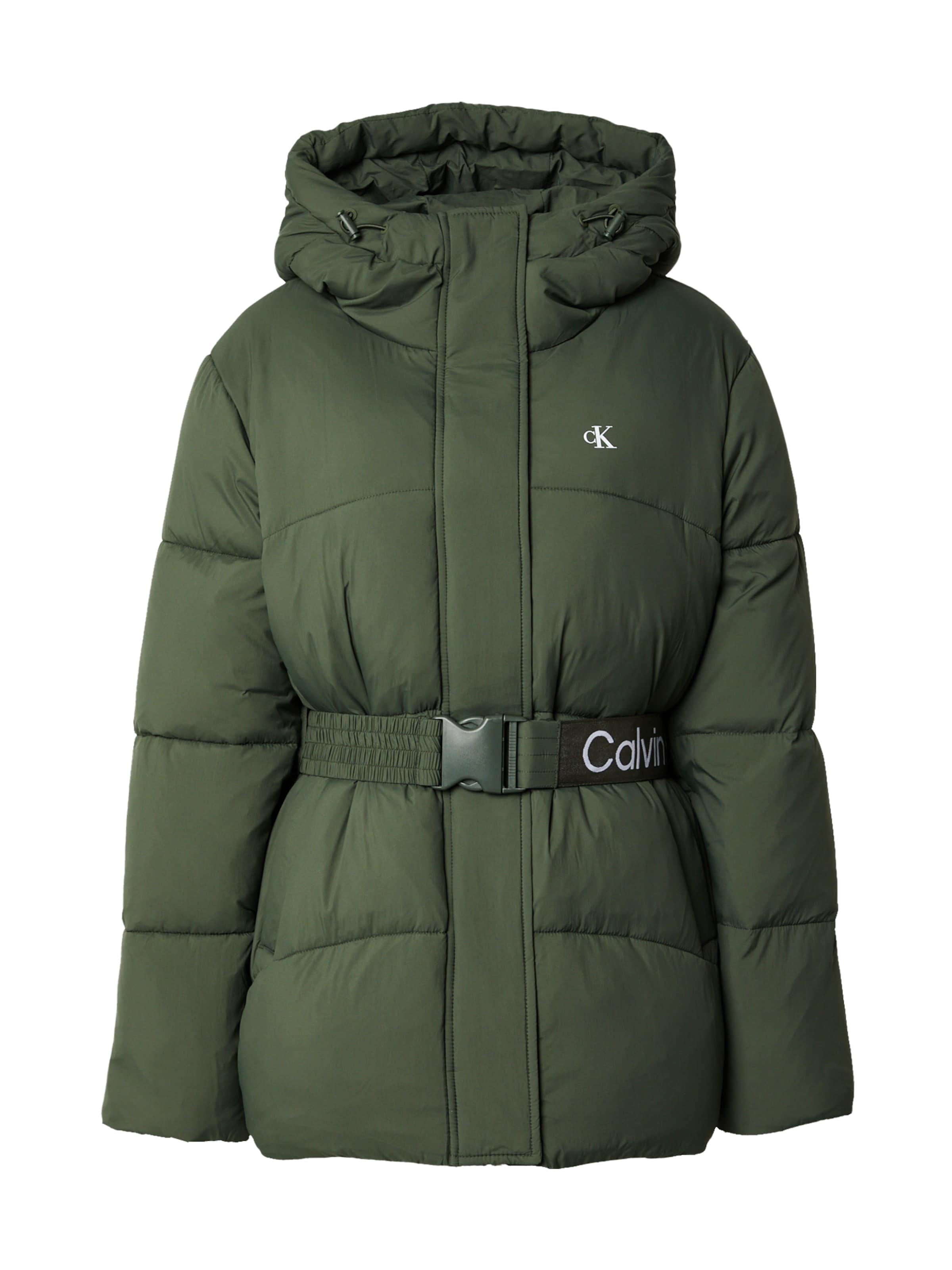 žalia Calvin Klein Jeans Žieminė striukė: priekis