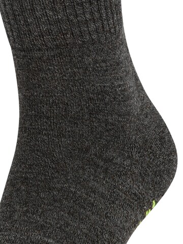 FALKE Socks 'Walkie Light' in Grey