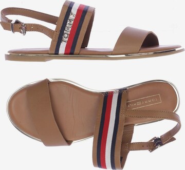 TOMMY HILFIGER Sandals & High-Heeled Sandals in 36 in Brown: front