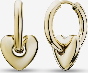 Guido Maria Kretschmer Jewellery Earrings in Gold: front