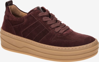 GABOR Schnürschuh in rot, Produktansicht